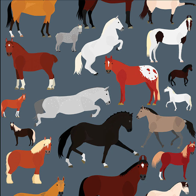 Dreamers & Schemers Boot Socks - Pair and a Spare - Breeds of the World image number null