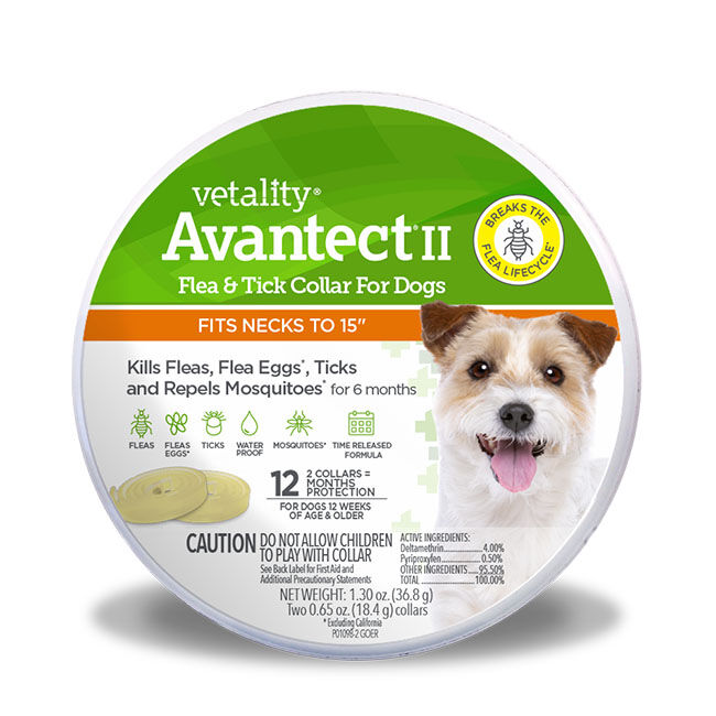 Vetality Avantect II Flea & Tick Collar for Dogs image number null