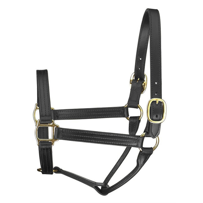 Perri's Leather Premium Track Style Leather Show Halter image number null