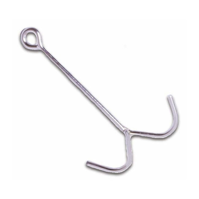 Intrepid 2 Prong Tack Hook image number null