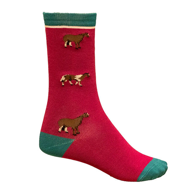 Shires Aubrion Kids' Bamboo Everyday Socks image number null