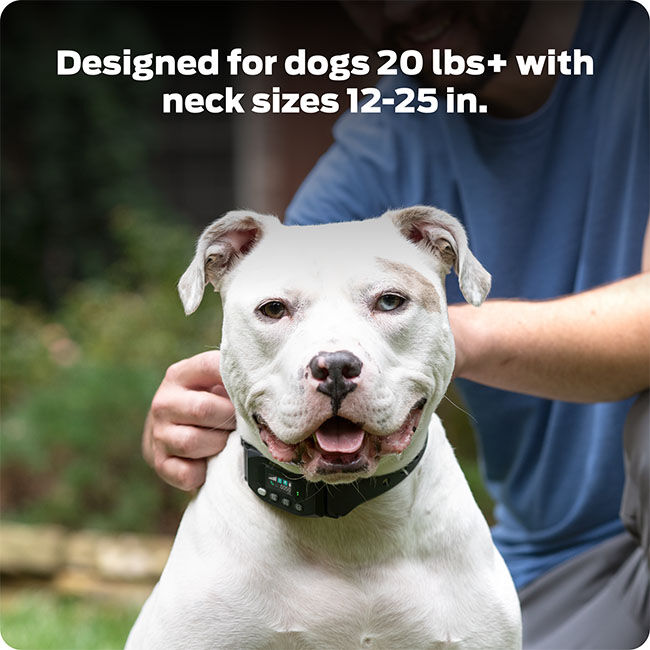 Premier Pet GPS Dog Fence with Circular Wireless Boundary image number null