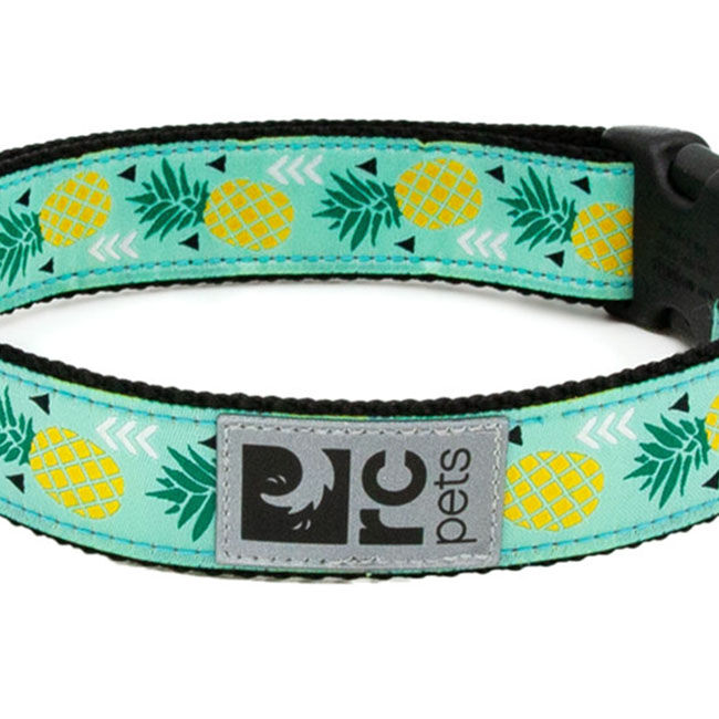 RC Pets Clip Dog Collar - Pineapple Parade image number null