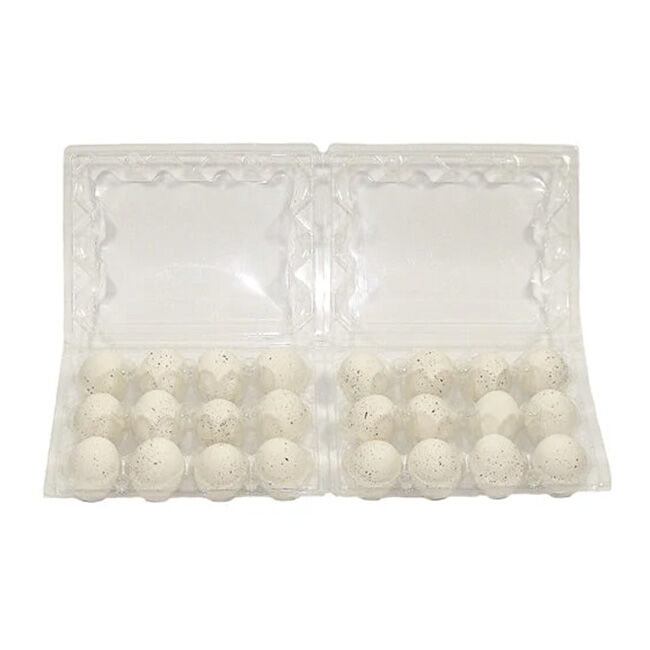 EggCartons.com Quail 12-Egg Plastic Carton image number null