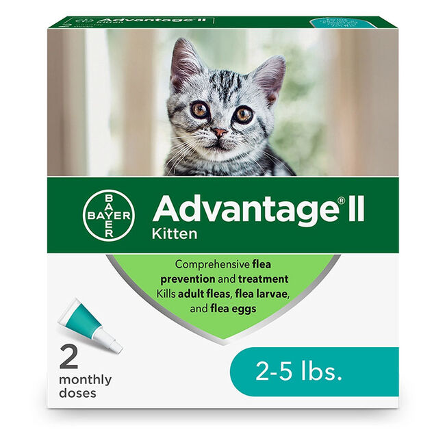 Advantage II Flea & Tick Topical for Cats image number null