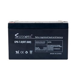 Gallagher 12 Battery for S100