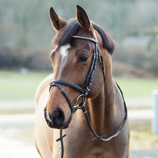 Horze Weston Bridle Brown image number null