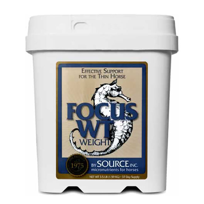 Source Focus WT  image number null