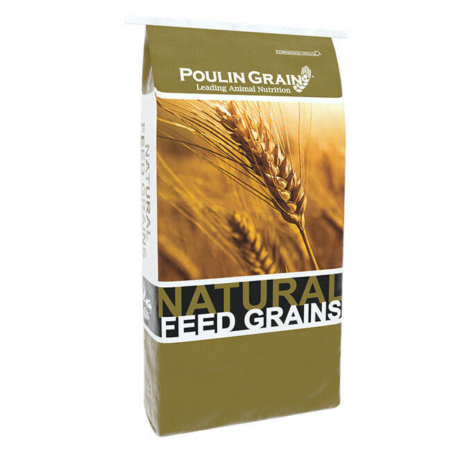 Poulin Grain Ultra Flake - Steam Flaked Corn - 35 lb image number null