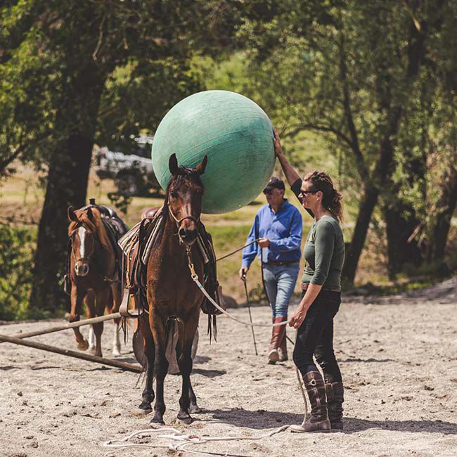 Parelli Green Ball image number null