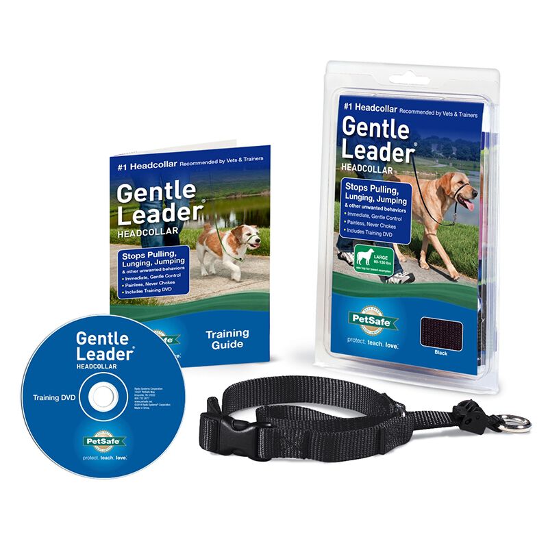 PetSafe Gentle Leader Head Collar The Cheshire Horse
