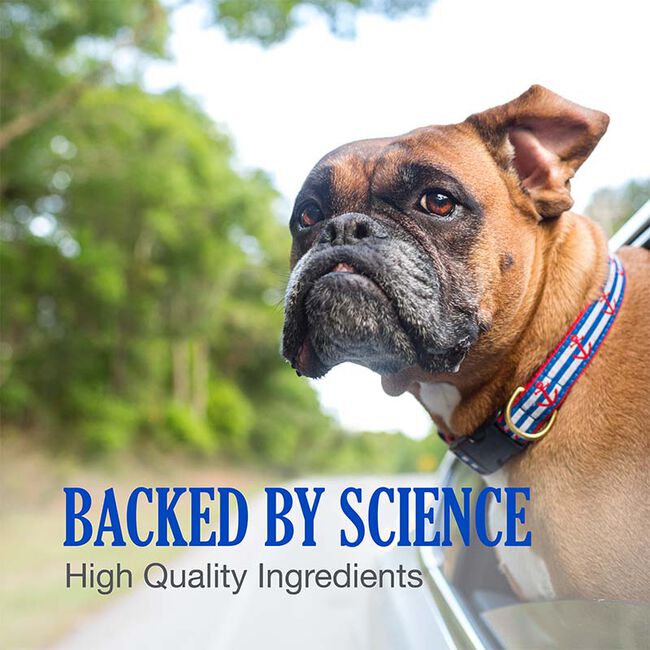 Nutramax Cobalequin B12 Supplement for Medium to Large Dogs - 45 Chewable Tablets image number null