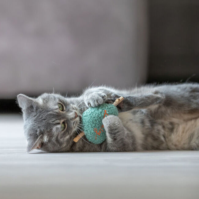 Trixie Silvervine Heart Cat Toy - Assorted Colors image number null