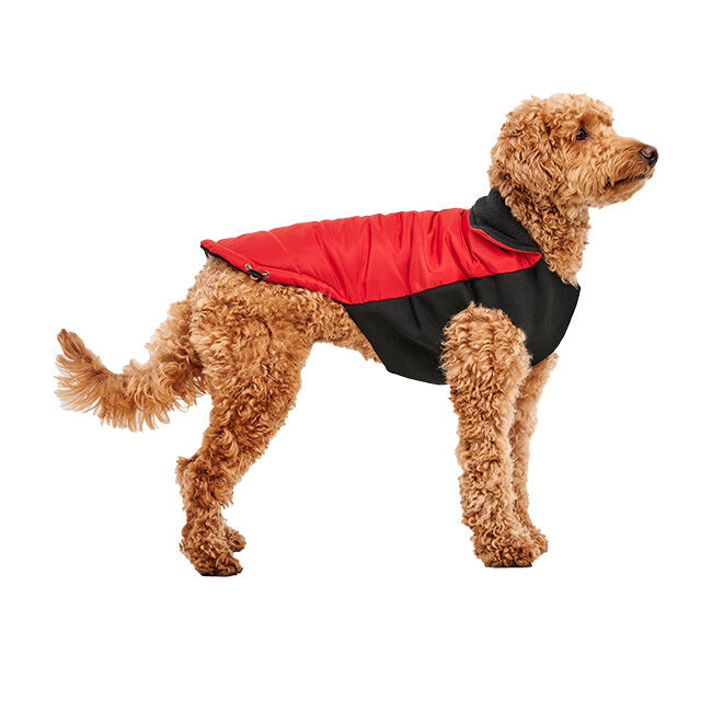 Goo-eez Mock Neck Signature Wrap Jacket for Dogs - Red image number null