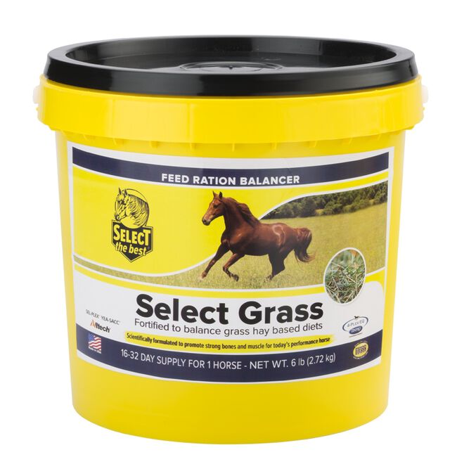 Select the Best Select Grass Feed Ration Balancer The Cheshire Horse