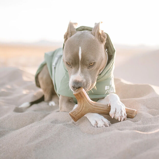 Benebone Bacon Stick image number null