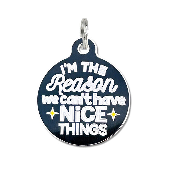 Bad Tags Dog ID Tag - We Can't Have Nice Things image number null