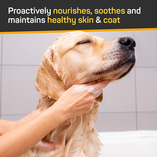 Absorbine Silver Honey Skin & Coat Care - Nourish & Soothe Shampoo with Odor Neutralizer - 16 oz image number null