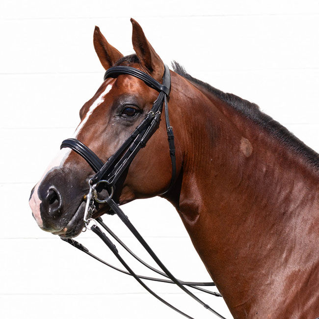 Equinavia Saga Double Bridle with Reins image number null