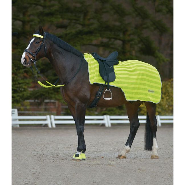 Waldhausen Reflex Horse Reflective Horse Cover