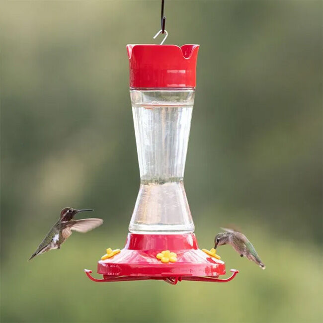 Perky-Pet Pinch-Waist Glass Hummingbird Feeder image number null