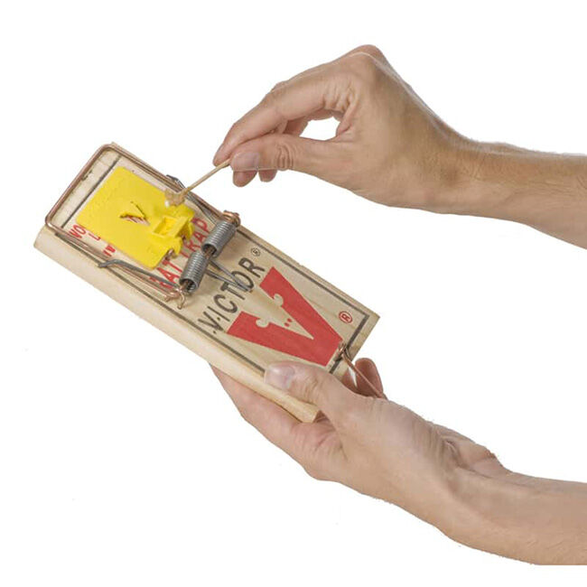 Victor Pest Snap Trap for Rats - Medium image number null