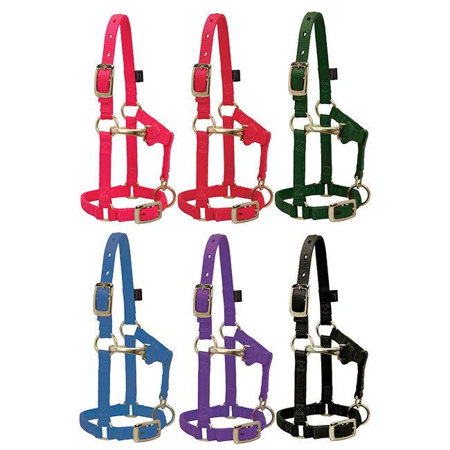 Weaver Mini Horse Adjustable Chin & Throat Snap Halter image number null
