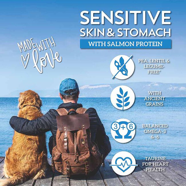 Wholesomes Sensitive Skin & Stomach with Salmon Protein Dry Dog Food image number null