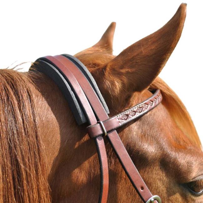 Cashel Crown & Cavesson Channel Guard image number null