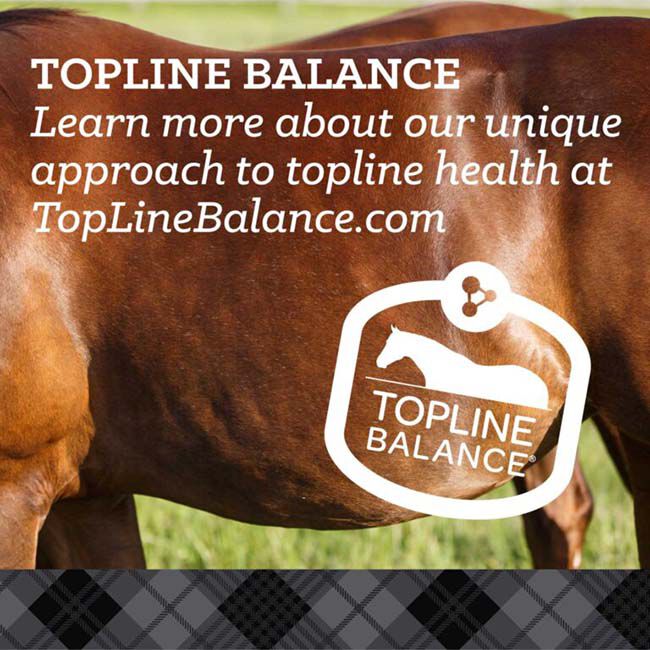 Nutrena ProForce Senior - 50 lb image number null