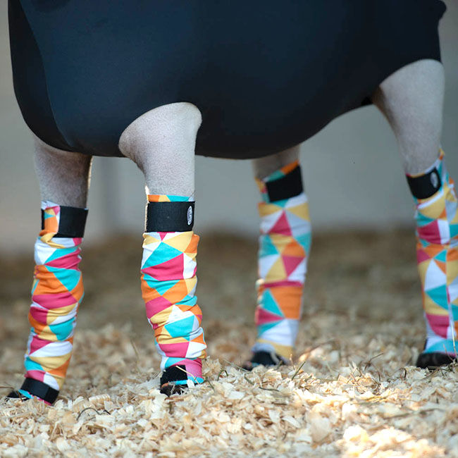 Weaver Livestock Sheep & Goat Spandex Leg Tubes - 4-Pack image number null