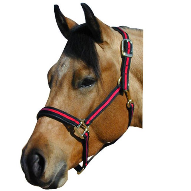 Intrepid No Rub Padded Striped Halter Yearling-Pony Green image number null