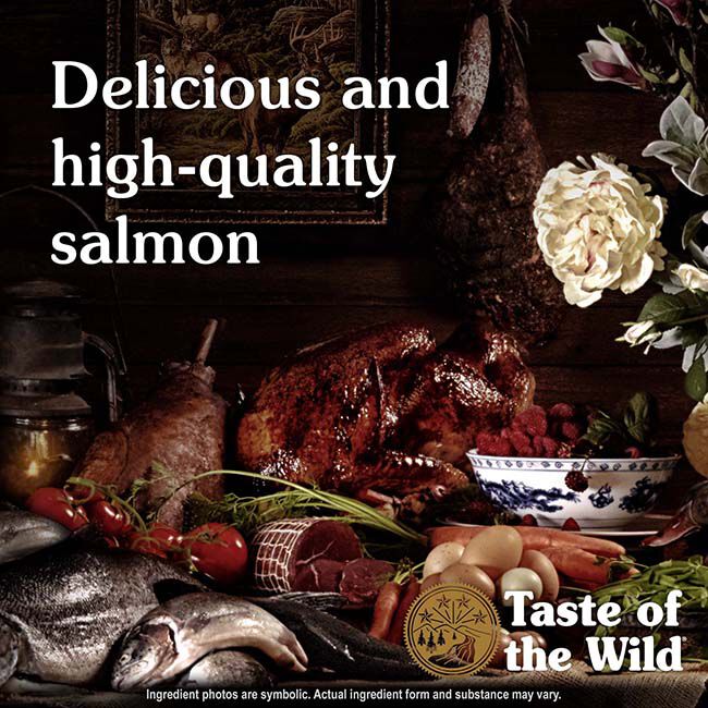 Taste of the Wild Puppy Food - Pacific Stream Recipe with Smoke-Flavored Salmon image number null