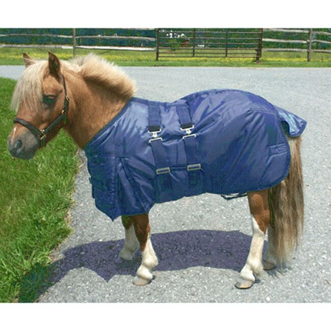 Intrepid International Mini Horse Turnout Blanket The Cheshire Horse