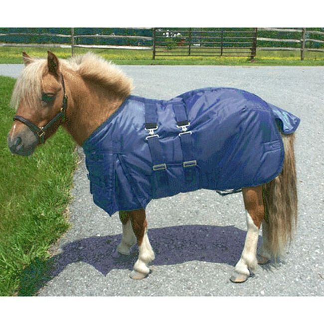 Intrepid Mini Horse Turnout Blanket Navy image number null