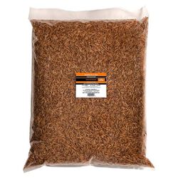 Alligator Brand Dried Mealworms To Go - 22 lb