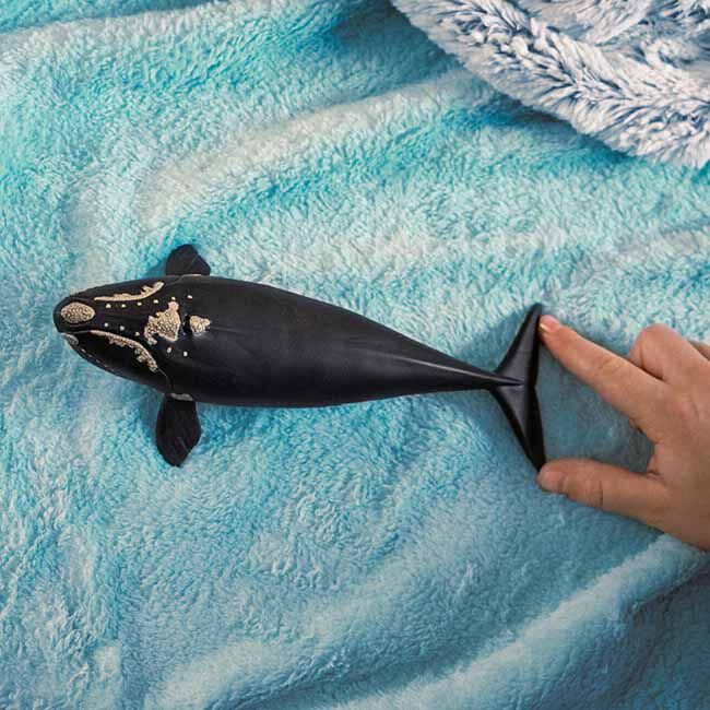 Schleich North Atlantic Right Whale image number null
