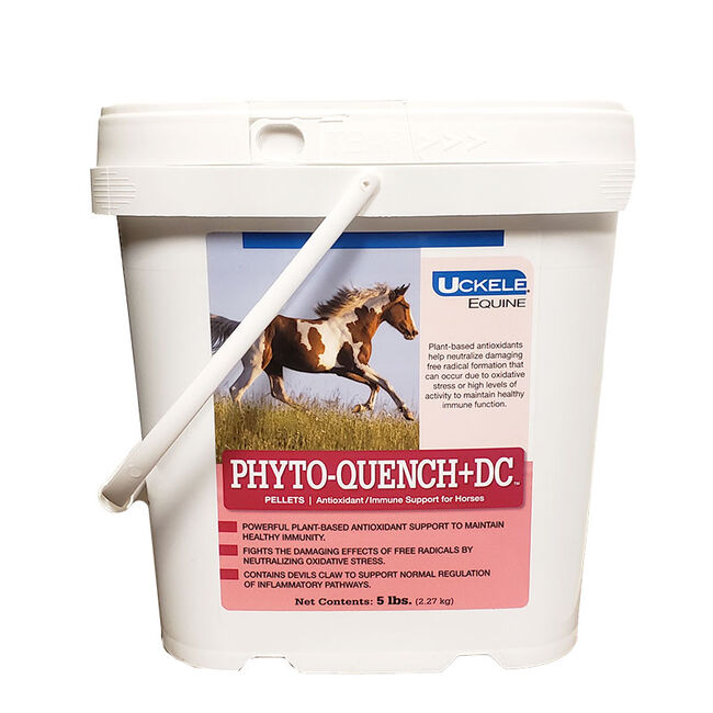 Uckele Phyto-Quench Pellets + DC (Devils Claw) image number null