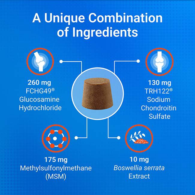 Nutramax Laboratories Cosequin Minis Plus MSM & Boswellia for Small Dogs - 45 Chews image number null