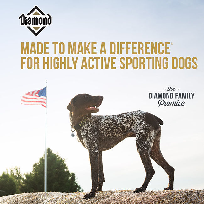 Diamond Hi-Energy Dog Food - Formulated for Sporting Dogs image number null
