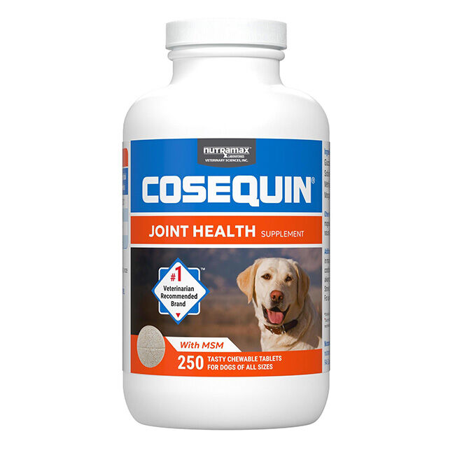 Nutramax Cosequin for Dogs Joint Health Supplement, Contains Glucosamine for Dogs, Plus Chondroitin and MSM, Supports Healthy Joints, For All Breeds and Sizes, Chewable Tablets - 250 Count image number null