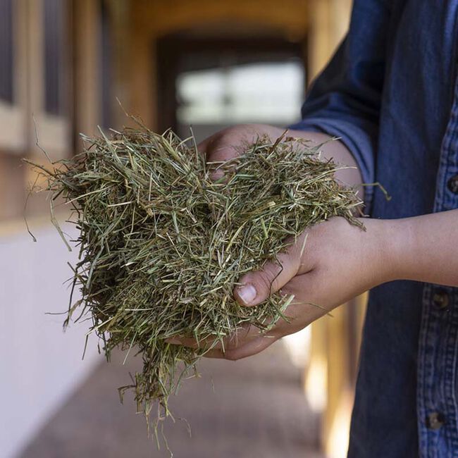 Triple Crown Safe Starch Fortified Forage - 40 lb image number null