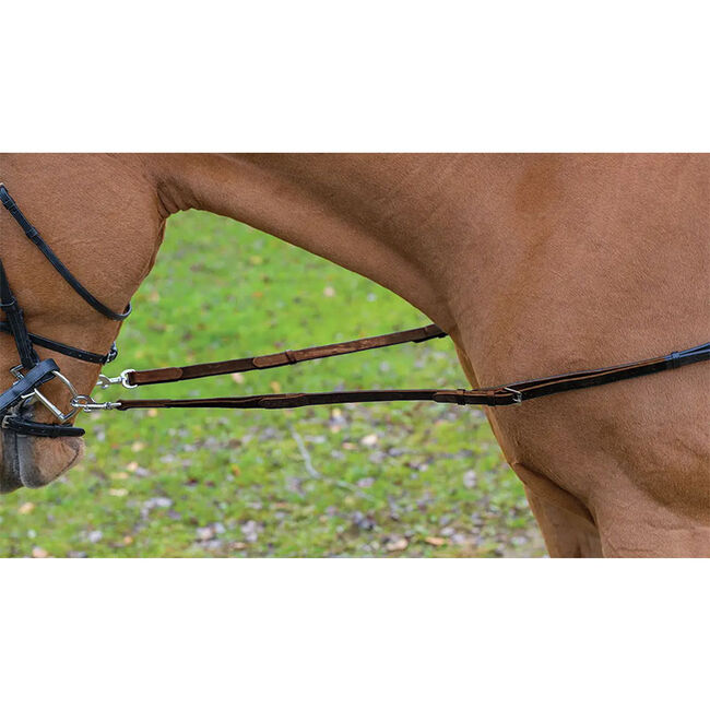 Shires Avignon Leather and Elastic Side Reins image number null