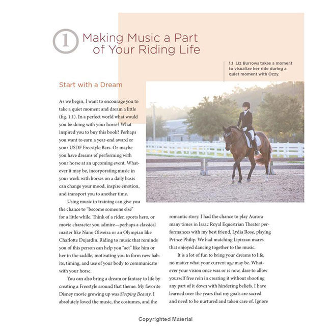Freestyle - The Ultimate Guide to Riding, Training & Competing to Music image number null
