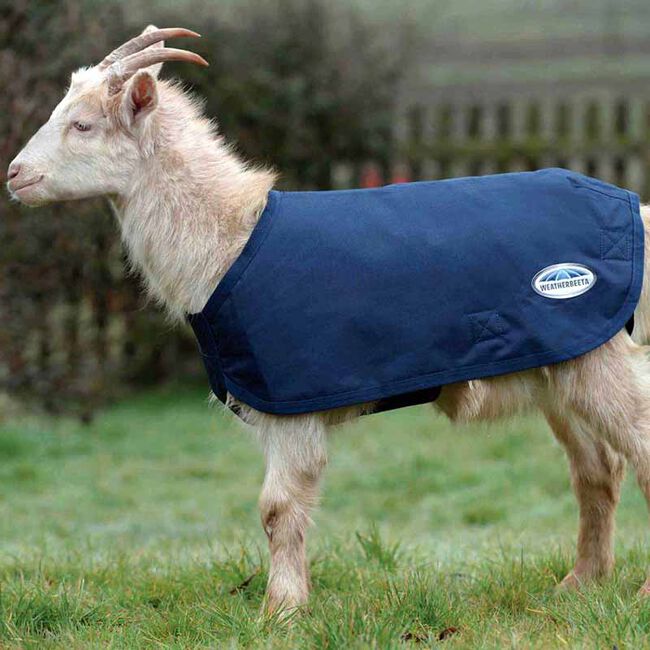WeatherBeeta Deluxe Goat Coat Navy image number null