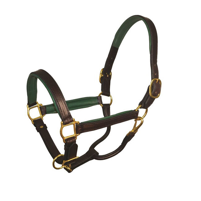 Perri's Leather Padded Leather Halter image number null