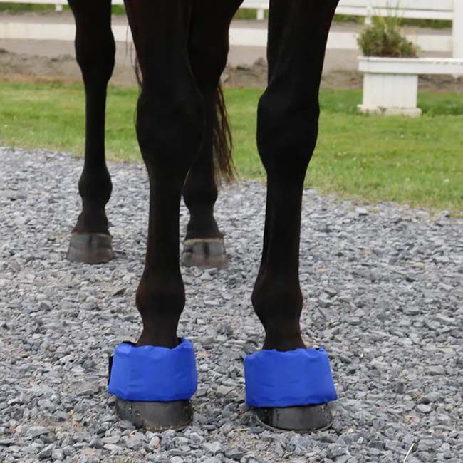EZ Ice Hoof and Founder Ice Therapy Pack image number null
