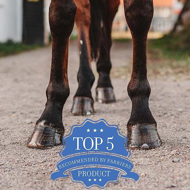 Absorbine Magic Cushion Xtreme Hoof Packing image number null