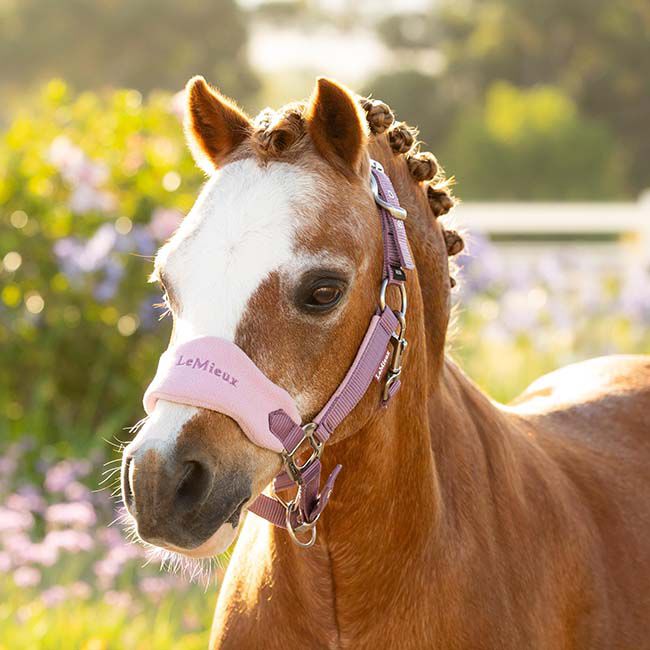 LeMieux Vogue Halter & Lead Rope - Mini - Mallow image number null