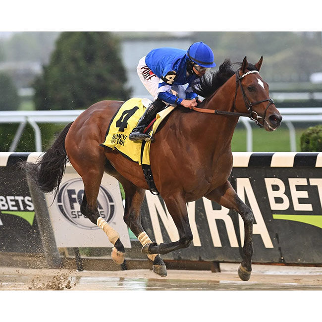 Breyer Cody's Wish image number null